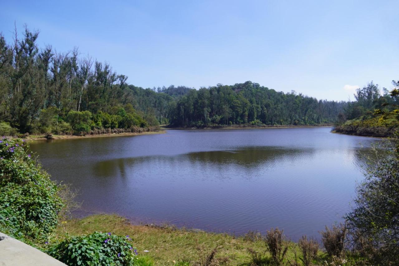 Acorn House Otel Ooty Dış mekan fotoğraf